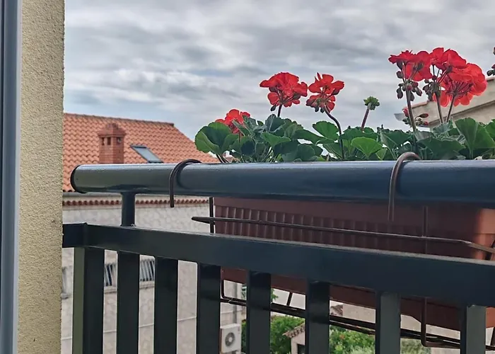 Adriatica זאדאר